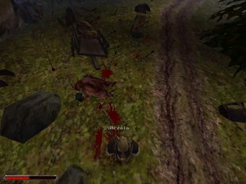 Gothic 2 000728,3
